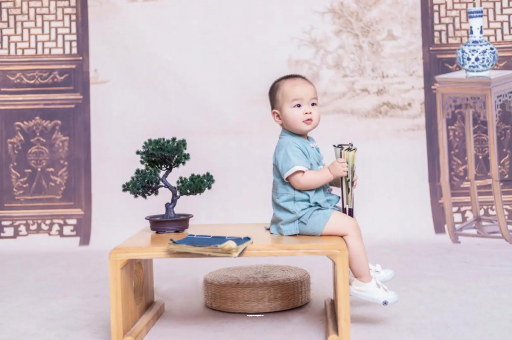 承德可爱的企鹅宝宝 承德可爱的企鹅宝宝